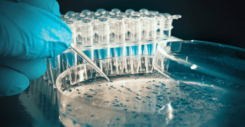 Scientist using a pipette with petri dishes and test tubes, highlighting the use of bacterial filters.