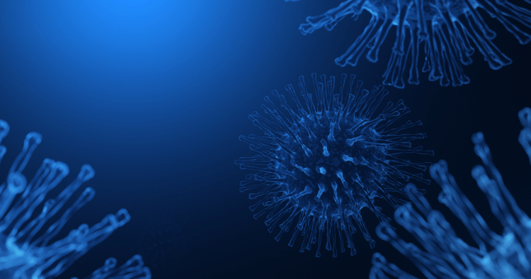 lose-up of bacteria, highlighting the importance of using a bacterial filter for protection